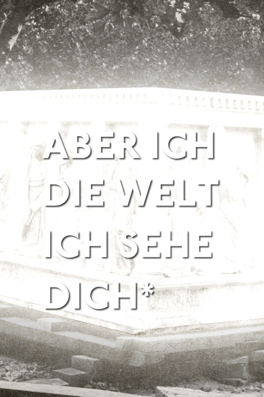 ABER ICH DIE WELT ICH SEHE DICH*
